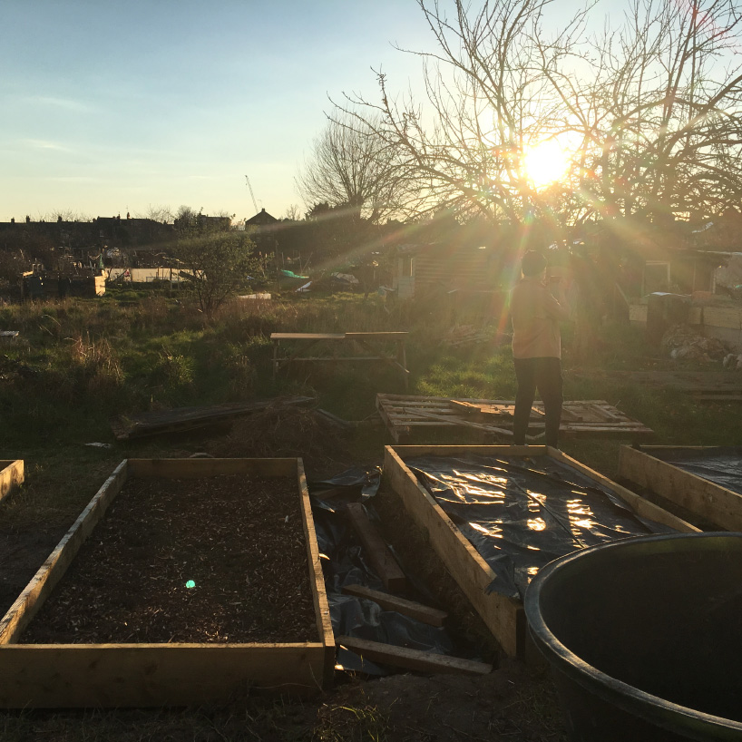 selvedge denim cotton allotment